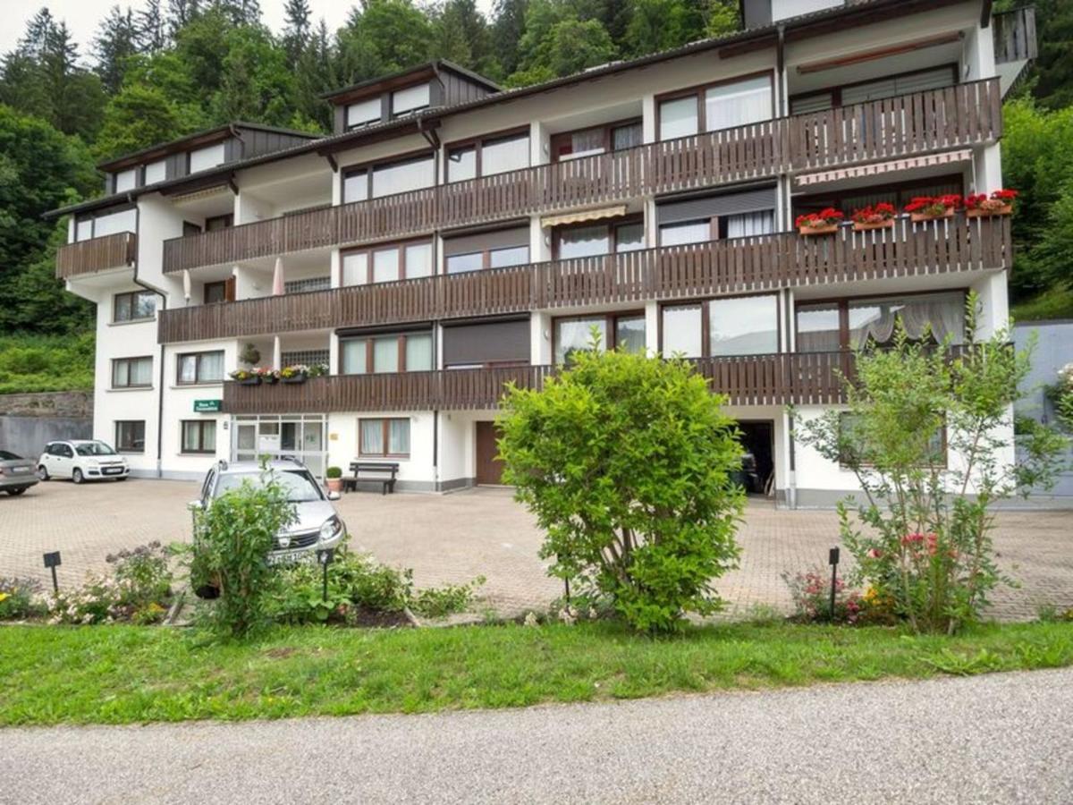 Gib Mir Funf! Ferienwohnung In St. Blasien Esterno foto
